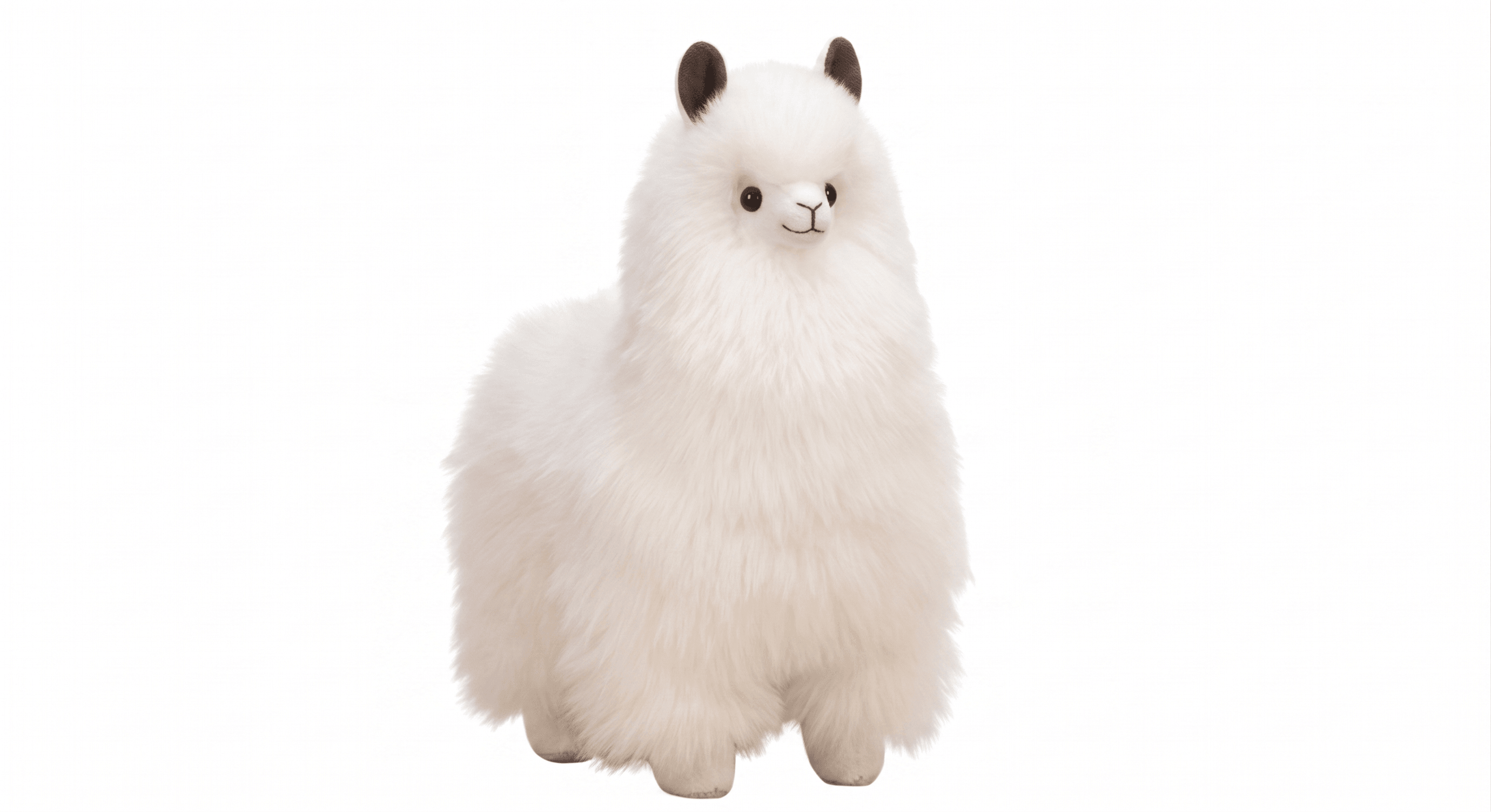 Fluffy Casper